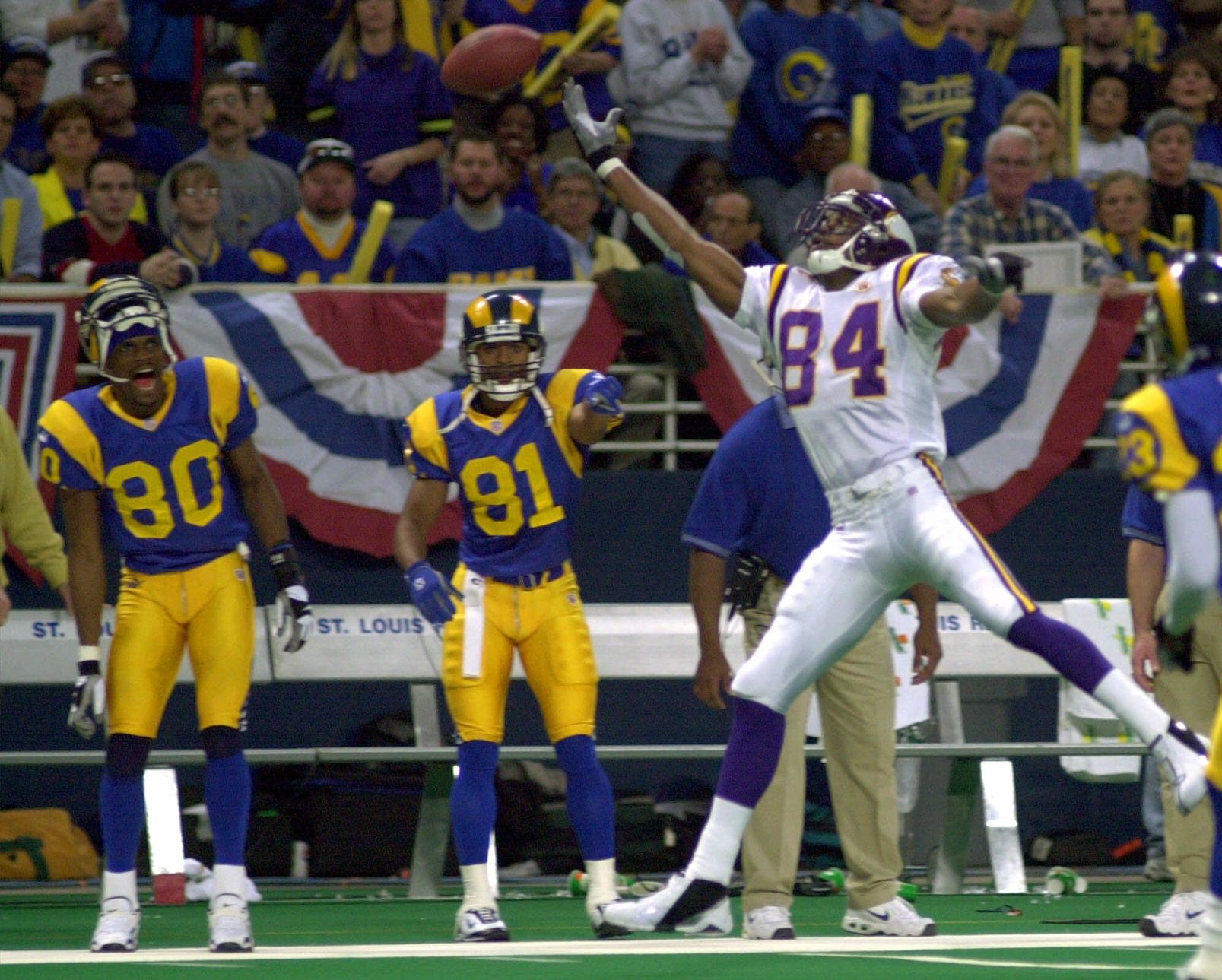 VIKINGS RAMS